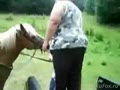Толстушка и лошадка
