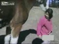 Лошадь укусила девочку.