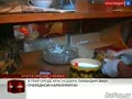 В пригороде Краснодара ликвидирован очередной наркопритон